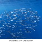 如何在97262彩世界官网上安全游戏,提升你的胜率技巧 16uk5ely