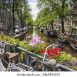 如何在pg娱乐官网上获得最佳游戏体验与技巧分享 1eiy9z84f