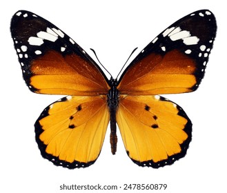 如何利用大中华平台提升品牌影响力与市场份额