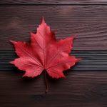 如何在88娱乐娱乐中找到适合自己的游戏项目 85iw12cg