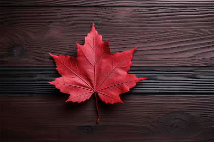 如何在88娱乐娱乐中找到适合自己的游戏项目