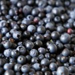 如何利用qsty235.com提升你的网络活动效率 g7le1cq