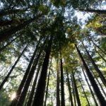 如何在182体育平台注册官网上顺利完成账户注册? hybpyz