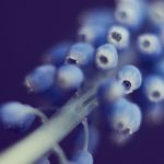 如何在ak直播体育上找到你最爱的运动赛事直播? kcc7s