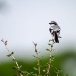 如何在e路发娱乐中找到最适合你的游戏项目 zw3ljmhq98