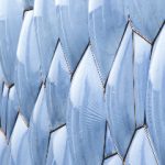 如何在1scasino中提高你的胜率与游戏技巧 zzfvyf1