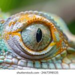 3d千禧试机号开奖最新结果查询与走势分析 26ro45j