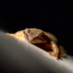 3d历史108期开奖号码完整版走势图表分析 2ee06