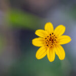 180期开奖结果揭晓,幸运号码震撼公布! gg1ygthg