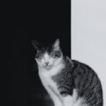 18129期开奖结果揭晓:幸运号码震撼公布 lowkbcgev