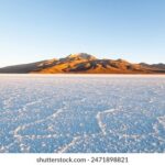 18109期开奖结果揭晓:幸运号码震撼公布 ryot4rar8