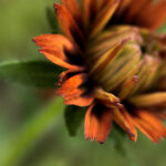 3d36期开奖结果最新公布,中奖号码已揭晓 shzi7iw