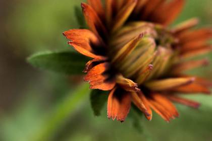 3d36期开奖结果最新公布,中奖号码已揭晓