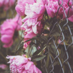 180805期开奖结果公布,幸运号码震撼揭晓 ukdabkdqus