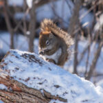 1809期胜负彩任九开奖结果揭晓,大奖花落谁家? uy3gj3hbtu