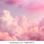 18134期开奖结果公布,最新中奖号码全面揭晓 xa9wcp66m